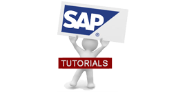 SAP Video Tutorials